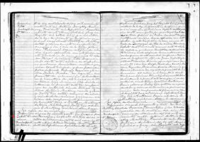 record-11-simona-zapata-death-1904-thumb